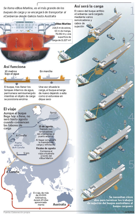 Blue Marlin Infigrafia