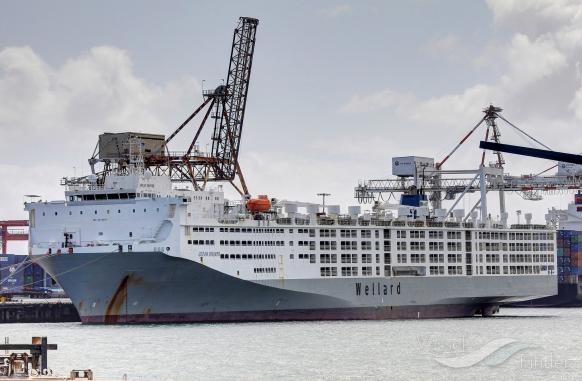 24d2e60d2a119042c7529dc0b36048c6