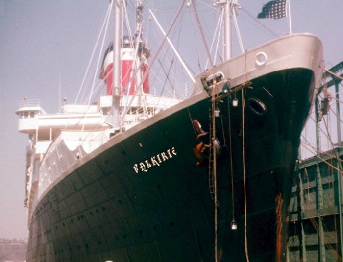 VALKIRIE_PAINTING_WORKS