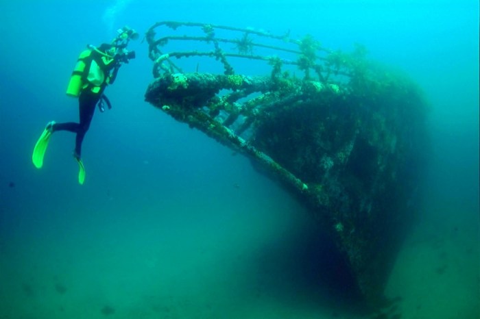 rainbow_warrior_06_4_web-1024x682