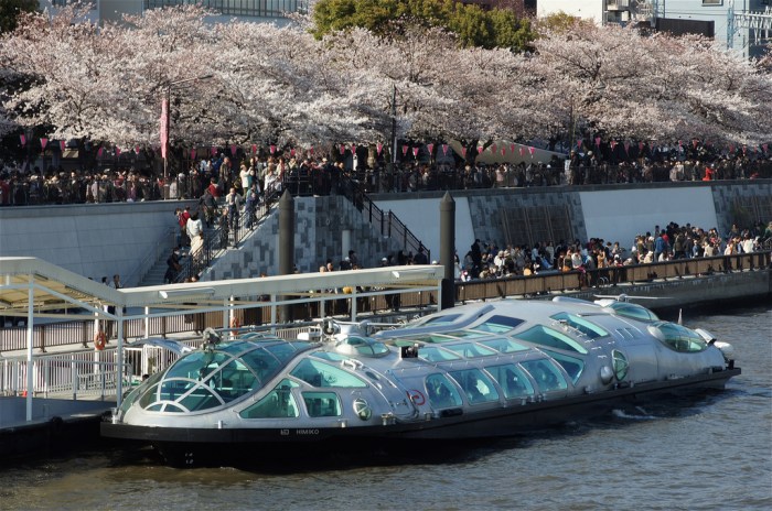 7056152771_c4d667a049_b