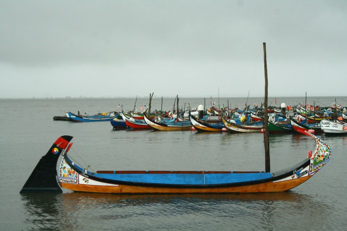 barcos_moliceiros