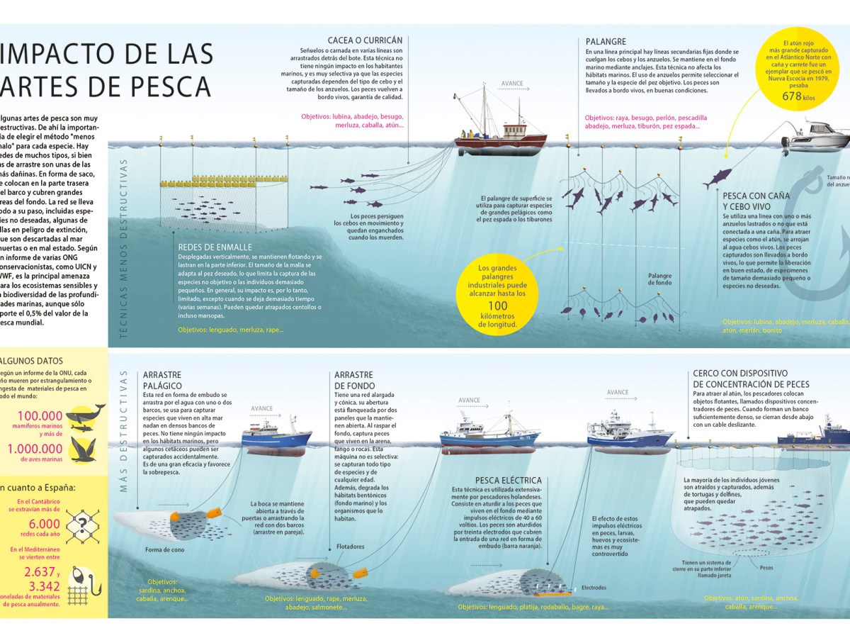 Infografía: impacto de las artes de pesca