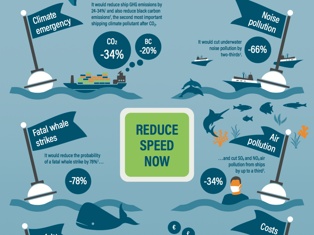 Infografía: Reduce speed now