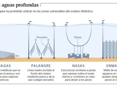 Infografía: Las artes de pesca vetadas en aguas profundas