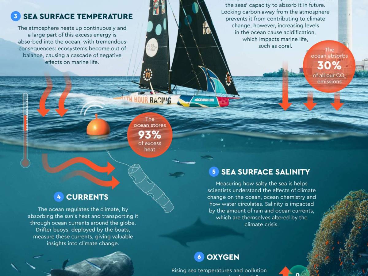 Infografías: A race to save the ocean & Racing for science